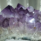Amethyst Cluster (Super Extra)
