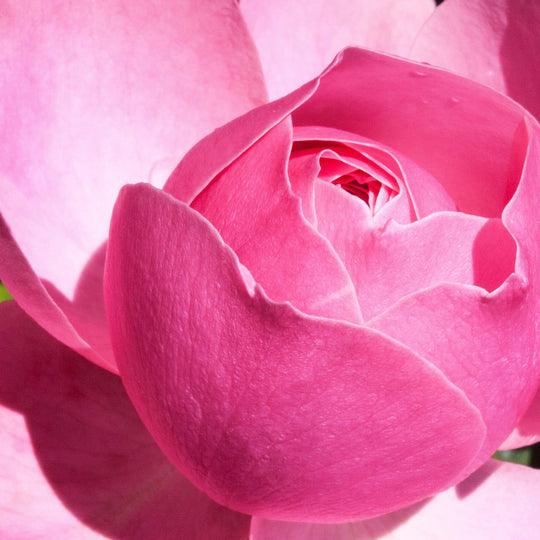 Resurfacing Clay Mask - ooolife